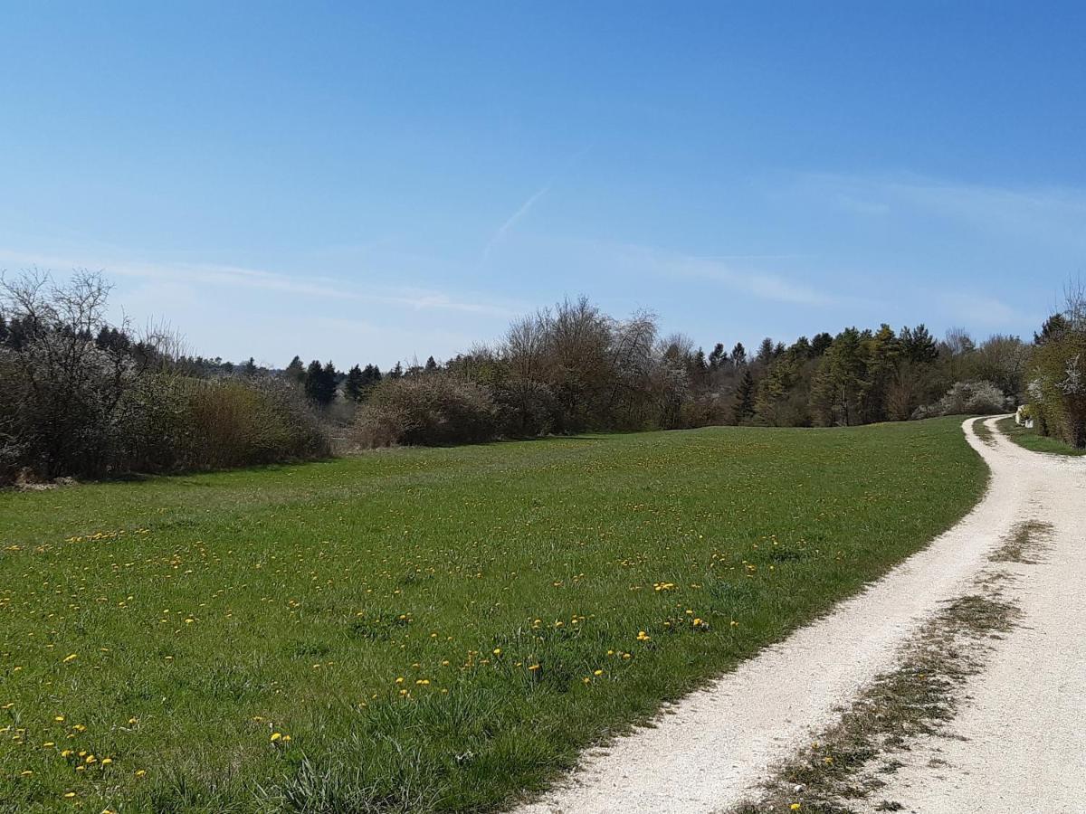 Appartement Staedtle-Blick à Hayingen Extérieur photo